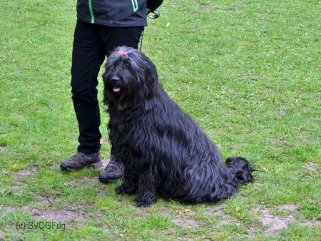 APAWI bei ihrer BGH3 - April 2014